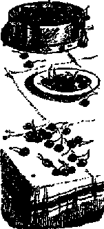 Что я видел (сборник) - i_311.png