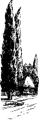 Что я видел (сборник) - i_315.png