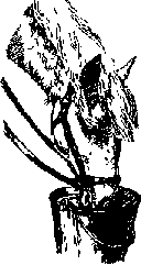 Что я видел (сборник) - i_317.png