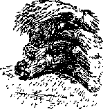 Что я видел (сборник) - i_319.png