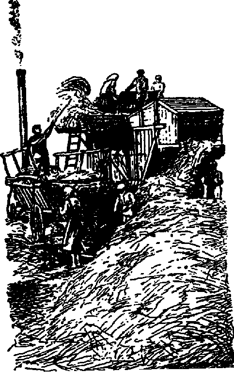 Что я видел (сборник) - i_325.png