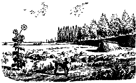 Что я видел (сборник) - i_331.png