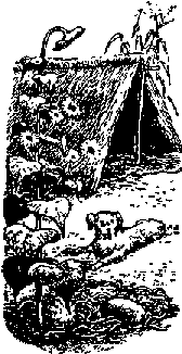 Что я видел (сборник) - i_332.png