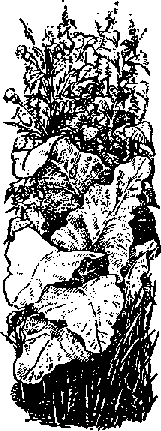 Что я видел (сборник) - i_342.png