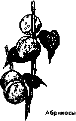 Что я видел (сборник) - i_349.png