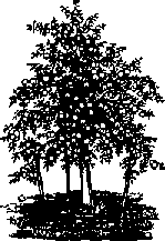 Что я видел (сборник) - i_350.png