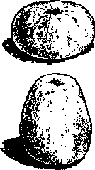 Что я видел (сборник) - i_351.png