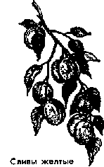 Что я видел (сборник) - i_356.png