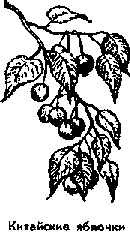 Что я видел (сборник) - i_358.png