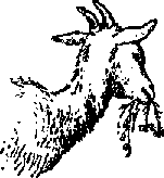 Что я видел (сборник) - i_367.png