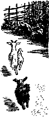 Что я видел (сборник) - i_369.png