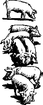 Что я видел (сборник) - i_372.png