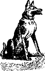 Что я видел (сборник) - i_375.png