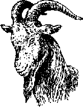 Что я видел (сборник) - i_376.png