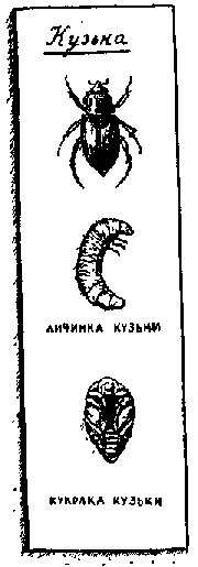 Что я видел (сборник) - i_386.png