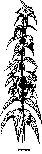 Что я видел (сборник) - i_389.png