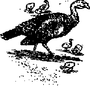 Что я видел (сборник) - i_399.png