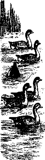 Что я видел (сборник) - i_404.png