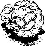 Что я видел (сборник) - i_406.png