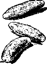 Что я видел (сборник) - i_407.png