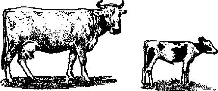 Что я видел (сборник) - i_411.png