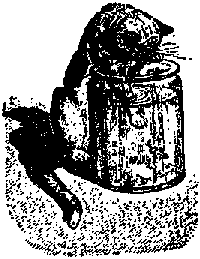 Что я видел (сборник) - i_412.png