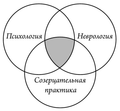 Мозг и счастье. Загадки современной нейропсихологии - i_003.jpg