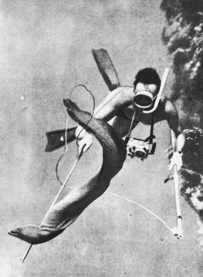 Пригоди на Шостому континенті - i_049.jpg