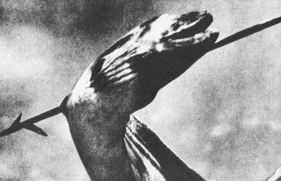 Пригоди на Шостому континенті - i_050.jpg