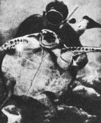 Пригоди на Шостому континенті - i_053.jpg