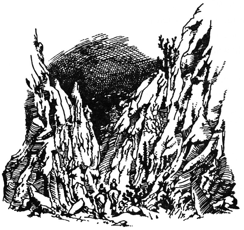 Хроніки Нарнії: Кінь і хлопчик - _18.jpg