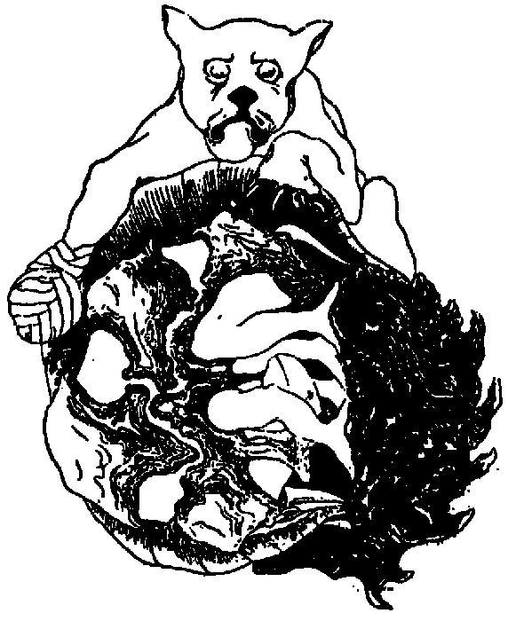 Первые броненосцы - i_003.jpg