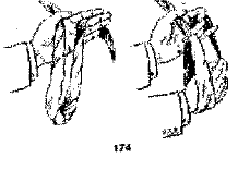 Фокусы на эстраде - image157.png