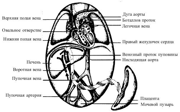 Язык любви, счастья и понимания - i_001.jpg