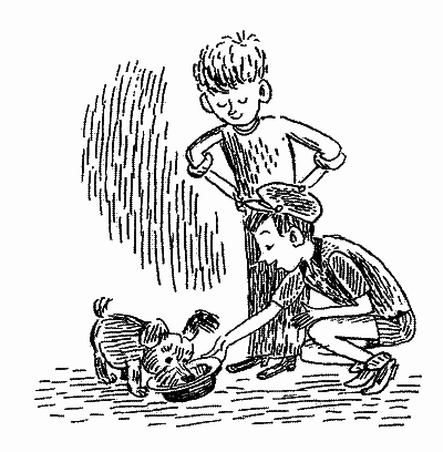 Щоденник Миколки Синицина - i_028.png