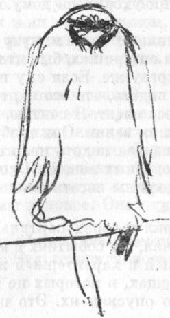 Эдвард Мунк - i_013.jpg