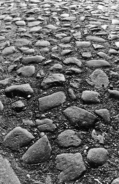  Но люблю мою курву-Москву . Осип Мандельштам: поэт и город - i_002.jpg