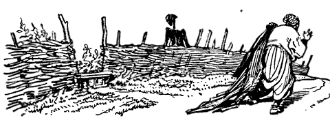 Вечера на хуторе близ Диканьки (1971) - i_029.png