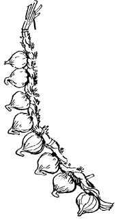 Вечера на хуторе близ Диканьки (1971) - i_049.png