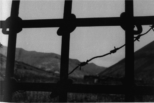 Рабы свободы: Документальные повести - i_074.png