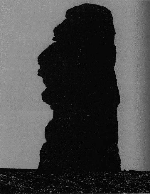 Рабы свободы: Документальные повести - i_085.png