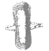 Военное дело чукчей (середина XVII—начало XX в.) - i_039.jpg