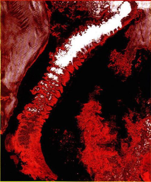 "Кузькина мать" Никиты и другие атомные циклоны Арктики - _52.jpg