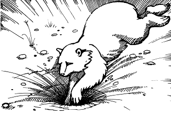 Кольцо белого волка - i_011.png