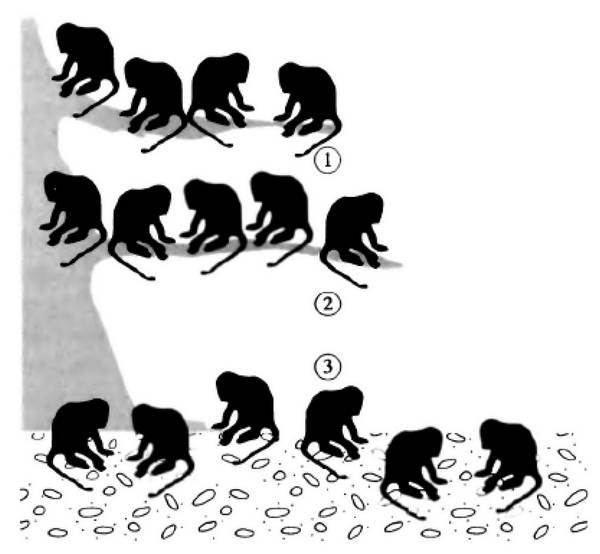 История лазера - i_058.jpg