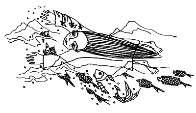 Канал принца Флурио - i_009.png