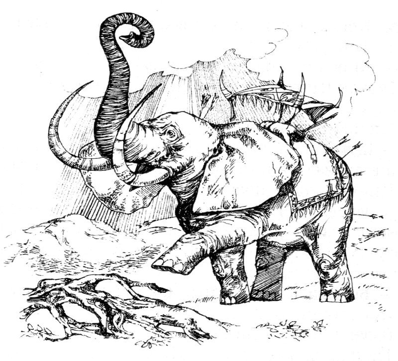 Дві Вежі - i_017.jpg