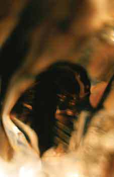 Мой каталог - _12.jpg