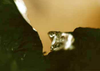 Мой каталог - _22.jpg