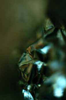 Мой каталог - _8.jpg